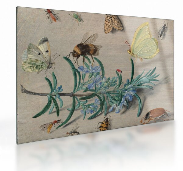 Sklenený obraz - Jan van Kessel the Elder, Insects and a Sprig of Rosemary, reprodukcia (70x50 cm)