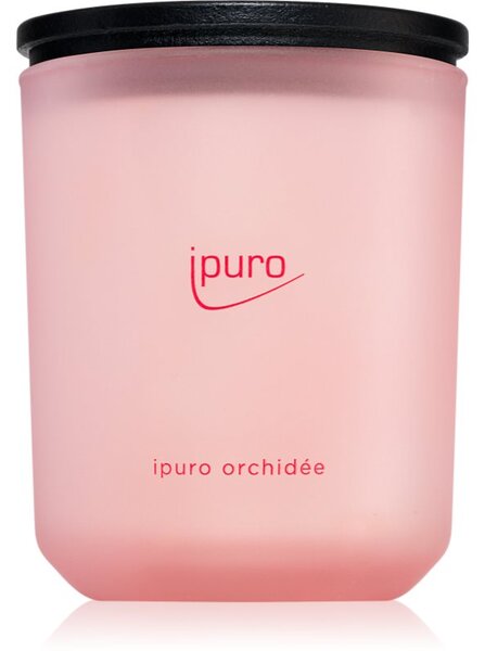 Ípuro Classic Orchidée vonná sviečka 270 g