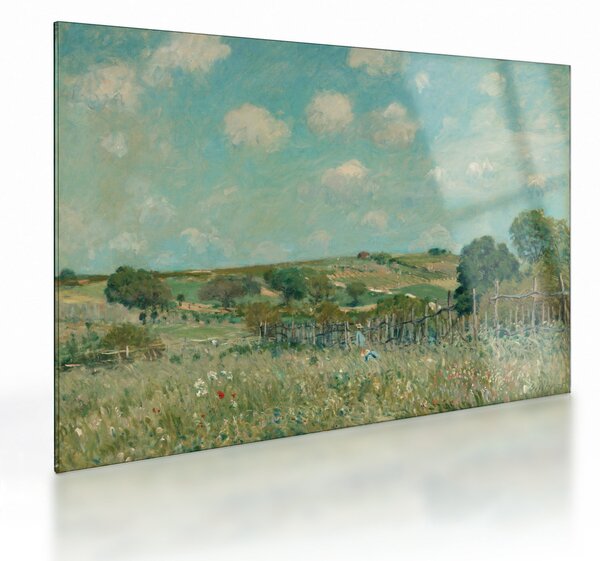 Sklenený obraz - Alfred Sisley, Meadow, reprodukcia (70x50 cm)