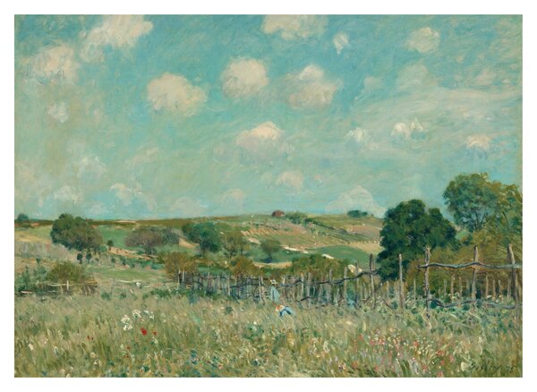 Sklenený obraz - Alfred Sisley, Meadow, reprodukcia (70x50 cm)