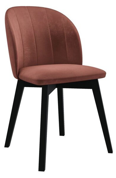 Mirjan24 Čalúnená jedálenská stolička ST100, Farby: čierna, Potah: Magic Velvet 2250 5903211142338
