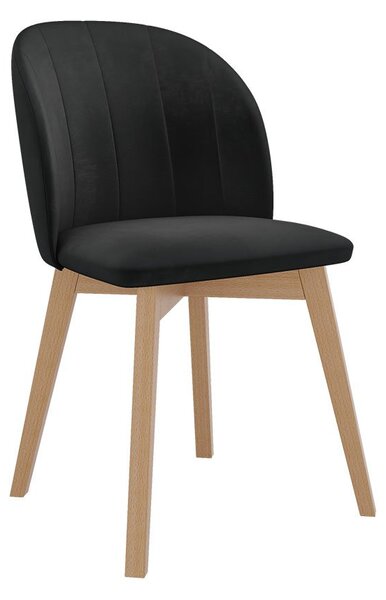 Mirjan24 Čalúnená jedálenská stolička ST100, Farby: čierna, Potah: Magic Velvet 2250 5903211142338