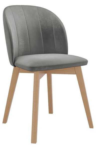 Mirjan24 Čalúnená jedálenská stolička ST100, Farby: čierna, Potah: Magic Velvet 2250 5903211142338