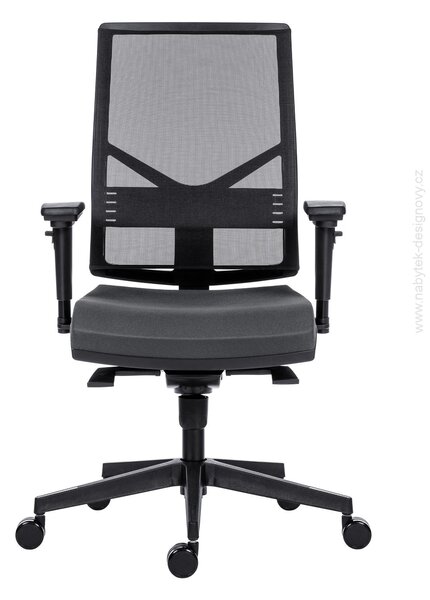 ANTARES - V18579856 - 1850 SYN OMNIA SL PLAST+AR08 BN6, Šedá