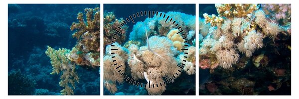 Obraz - V oceáne (s hodinami) (90x30 cm)