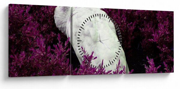 Obraz - Biely páv (s hodinami) (90x30 cm)