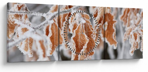 Obraz - Zamrznuté listy (s hodinami) (90x30 cm)