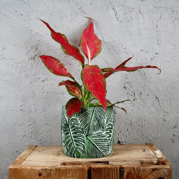 Kvetináč Botanica green Ø 12 cm