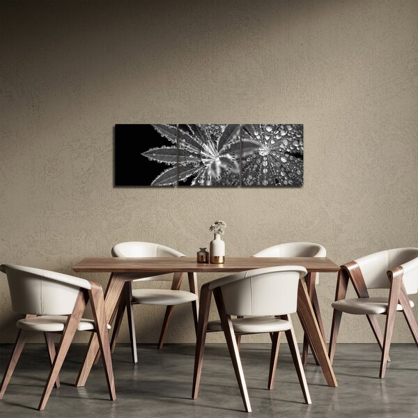 Obraz - Listy s kvapkami (s hodinami) (90x30 cm)