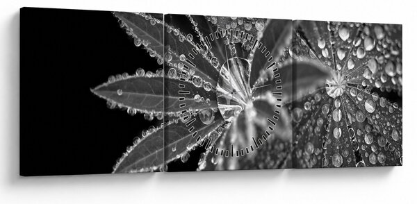 Obraz - Listy s kvapkami (s hodinami) (90x30 cm)