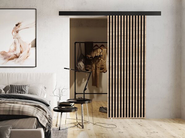 Mirjan24 Interiérové posuvné dvere Boxdis 70, Farba:: Grafit antracit/Čierna 5903211125836
