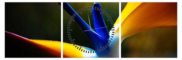 Obraz - Exotický kvet (s hodinami) (90x30 cm)