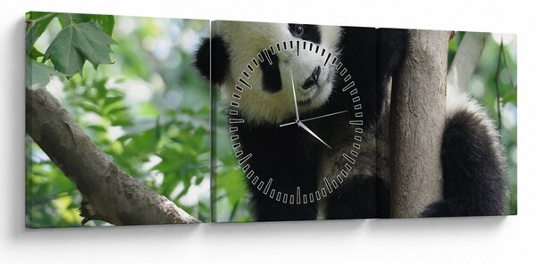 Obraz - Panda na strome (s hodinami) (90x30 cm)