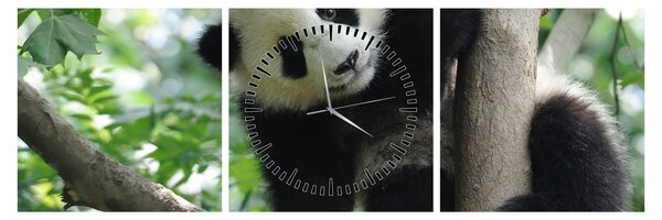 Obraz - Panda na strome (s hodinami) (90x30 cm)