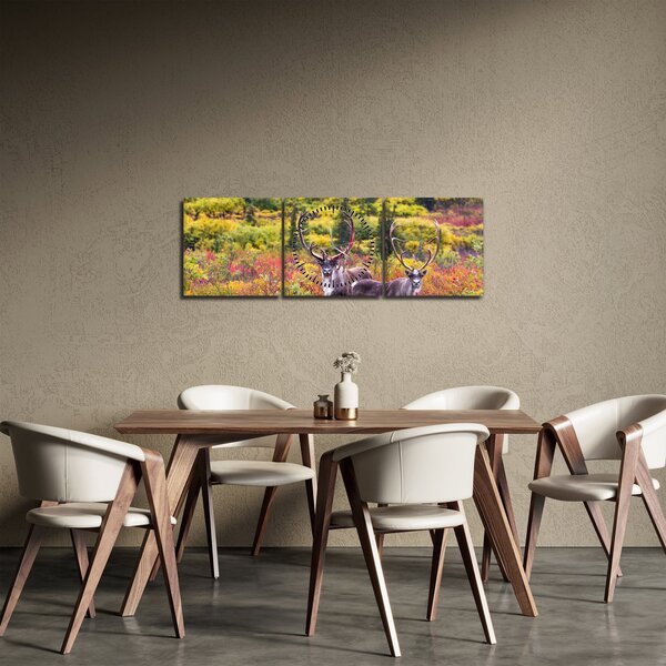 Obraz - Karibu na Aljaške (s hodinami) (90x30 cm)