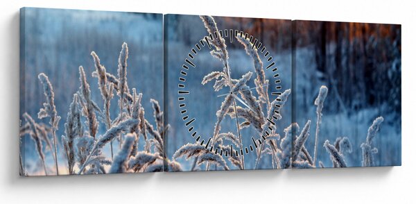 Obraz - Zimná lúka (s hodinami) (90x30 cm)