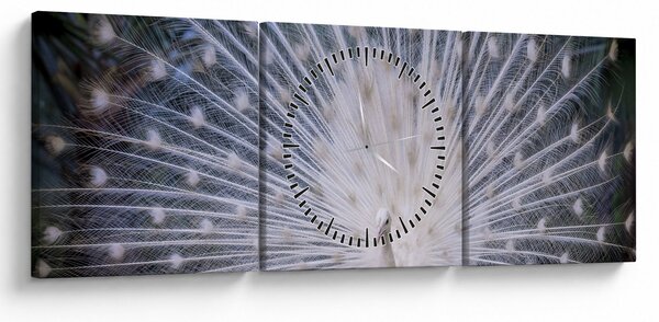 Obraz - Biely páv (s hodinami) (90x30 cm)