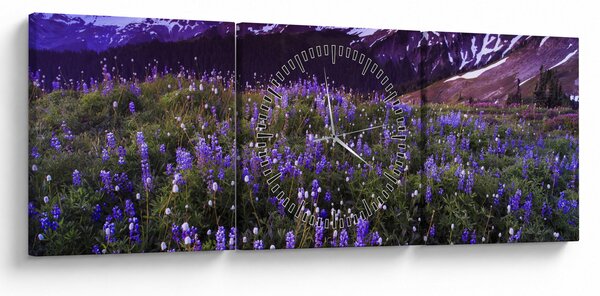 Obraz - Sopka a kvety (s hodinami) (90x30 cm)