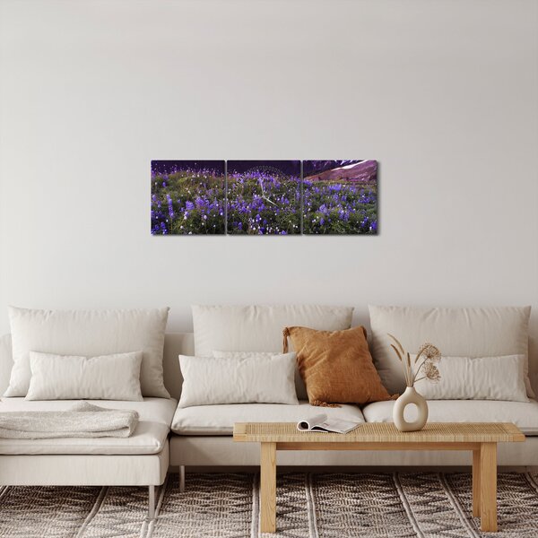 Obraz - Sopka a kvety (s hodinami) (90x30 cm)