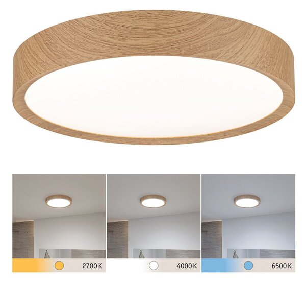 Stropné Lampa Paulmann, Tega, Drevo, Kúpeľňa, Plast, Moderný