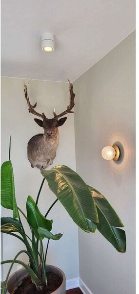 Stropné Lampa ANTIDARK, stmievateľné, Biela, Obývacia izba, Hliník