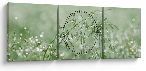 Obraz - Rosa v tráve (s hodinami) (90x30 cm)