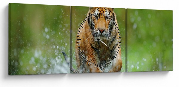 Obraz - Bežiaci tiger (s hodinami) (90x30 cm)