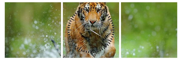 Obraz - Bežiaci tiger (s hodinami) (90x30 cm)