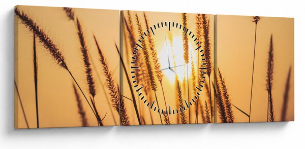 Obraz - Traviny na slnku (s hodinami) (90x30 cm)