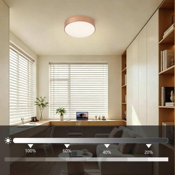 Brilagi - Stmievateľné LED stropné svietidlo POOL LED/24W/230V pr. 20 cm bronzové +DO