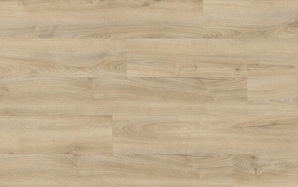 XpertPRO Electo Dub Kentucky 83226Q
