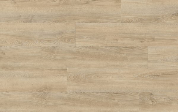 XpertPRO Electo Dub Kentucky 83226Q