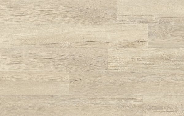 XpertPRO Electo Dub Stellata 89241Q