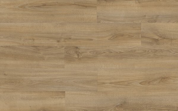 XpertPRO Electo Dub Kentucky 83847Q