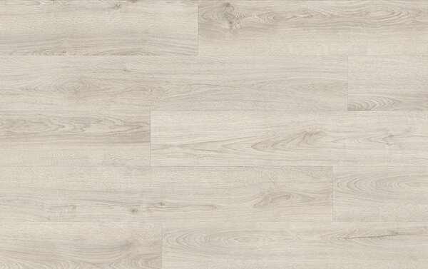 XpertPRO Electo Dub Kentucky 83266Q