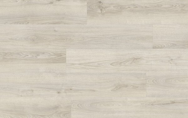 XpertPRO Electo Dub Kentucky 83266Q