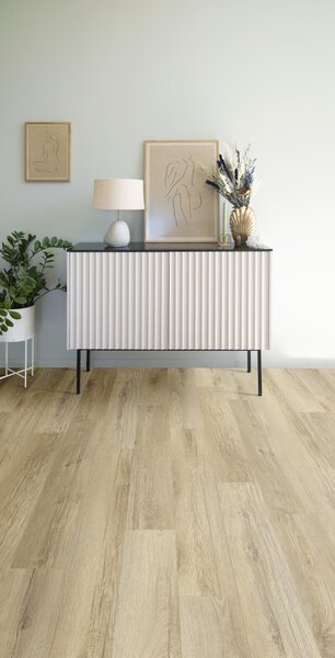 XpertPRO Electo Dub Stellata 89220Q