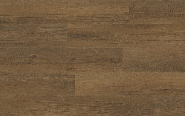 XpertPRO Electo Dub Stellata 89876Q
