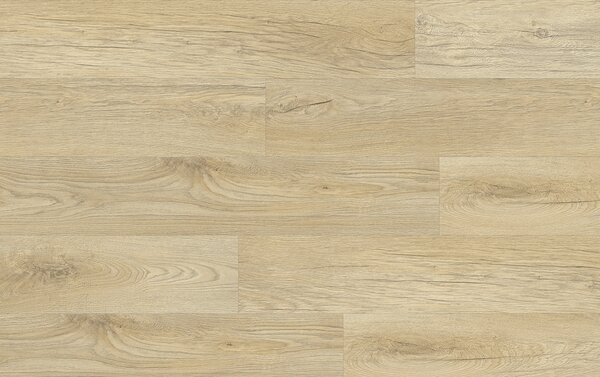 XpertPRO Electo Dub Stellata 89220Q