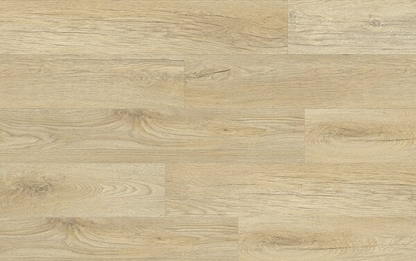 XpertPRO Electo Dub Stellata 89220Q