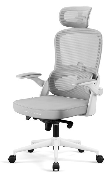 Ergonomická kancelárska stolička svetlosivá Diablo V-Light