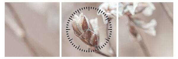 Obraz - Detail vetvy (s hodinami) (90x30 cm)