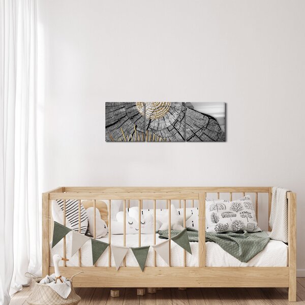 Obraz - Kmeň stromu v koláži (s hodinami) (90x30 cm)