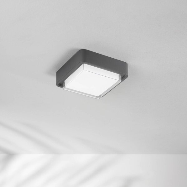 Fabas Luce LED vonkajšie stropné svietidlo Diuk, tmavošedá, kov, IP65, Čierna, Hliník, Moderný