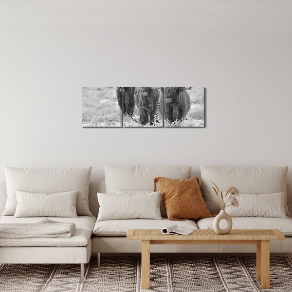 Obraz - Škótske kravy, čiernobiela (s hodinami) (90x30 cm)