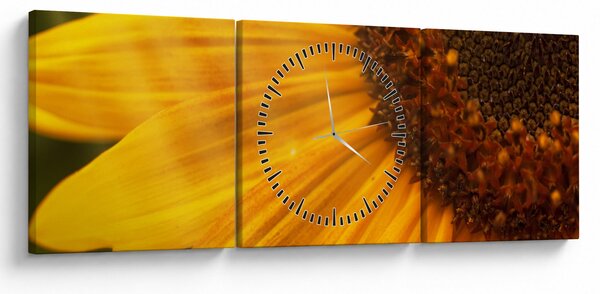 Obraz - Slnečnica (s hodinami) (90x30 cm)
