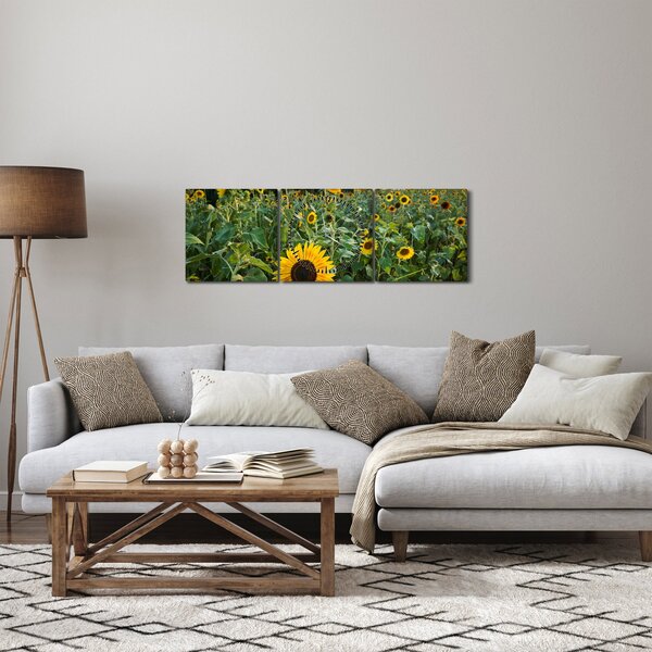 Obraz - Slnečnicové pole II. (s hodinami) (90x30 cm)