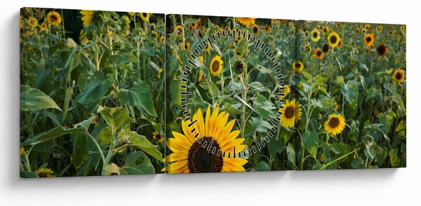 Obraz - Slnečnicové pole II. (s hodinami) (90x30 cm)