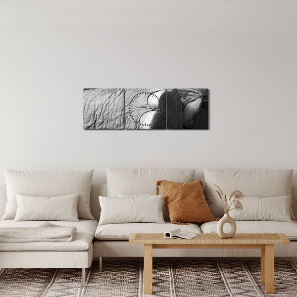 Obraz - Slonia noha (s hodinami) (90x30 cm)