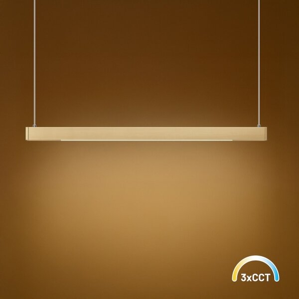 LED luster na lanku LINEA LED/36W/230V 3000/4000/5700K CRI 90 zlatý